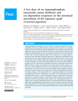 A low dose of an organophosphate insecticide causes