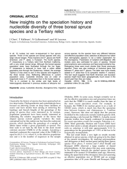 New insights on the speciation history and nucleotide