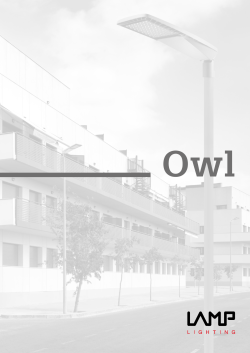 Owl - Lamp