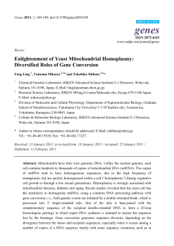 Enlightenment of Yeast Mitochondrial Homoplasmy:
