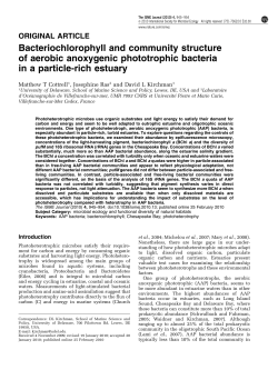 Bacteriochlorophyll and community structure of aerobic