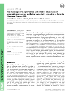 The depthspecific significance and relative abundance of anaerobic