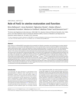 Role of Foxl2 in uterine maturation and function