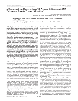 A Complex of the Bacteriophage T7 Primase