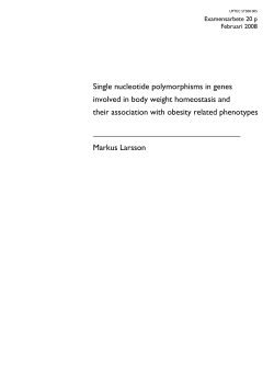Single nucleotide polymorphisms in genes involved in body weight