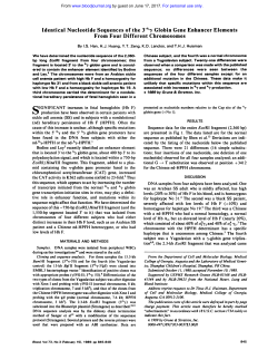Identical Nucleotide Sequences of the Globin Gene Enhancer