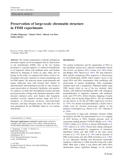 Preservation of large-scale chromatin structure in FISH experiments