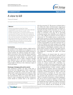 A view to kill | SpringerLink