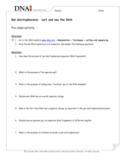 Gel electrophoresis: sort and see the DNA Pre