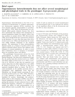 Brief report Supernumeraryheterochromatindoes not affect several