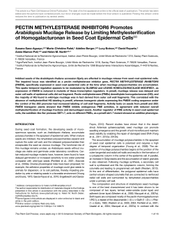 PECTIN METHYLESTERASE INHIBITOR6