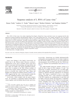 Sequence analysis of L RNA of Lassa virus