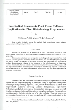 Free Radical Processes in Plant Tissue Cultures