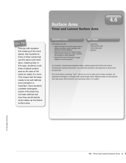 Surface Area - HHS PAP Geometry