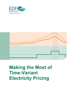 Making the Most of Time-Variant Electricity Pricing