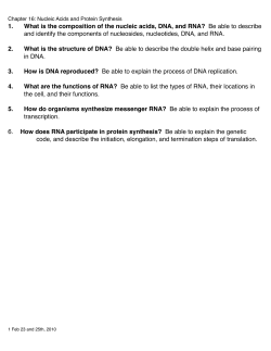 1. What is the composition of the nucleic acids, DNA, and RNA? Be