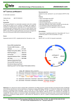 Alleleustrious pmTFP1-clathrin is a mammalian expression vector