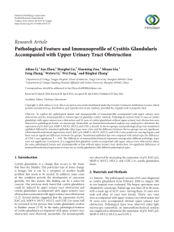 Pathological Feature and Immunoprofile of Cystitis Glandularis