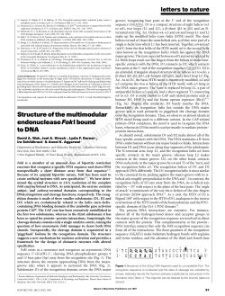 Structure of the multimodular endonuclease FokI