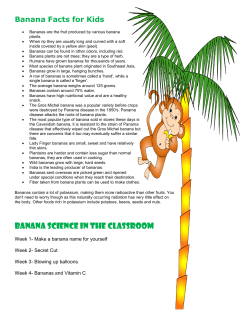 Banana Science In the Classroom