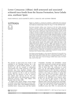 (Albian) shell-armoured and associated echinoid trace fossils from