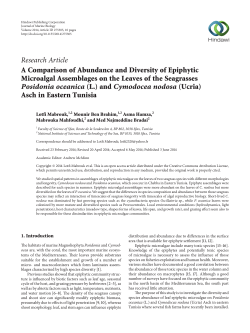 A Comparison of Abundance and Diversity of Epiphytic Microalgal