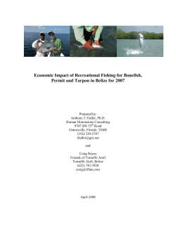 Economic Impact of Recreational Fishing for Bonefish, Permit and