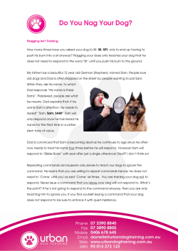 Do You Nag Your Dog?
