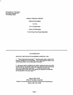 2003-04 nys aud report