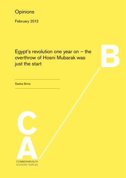 Opinions Egypt`s revolution one year on &ndash; the overthrow of Hosni