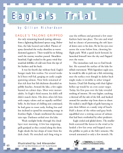 Eagle&iacute;s Trial - Cricket Media