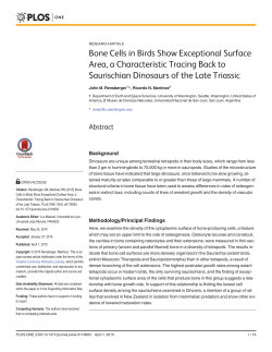 Bone Cells in Birds Show Exceptional Surface Area, a