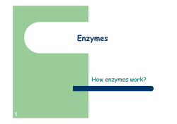 Enzymes