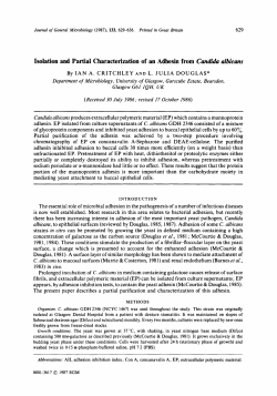Isolation and Partial Characterization of an Adhesin
