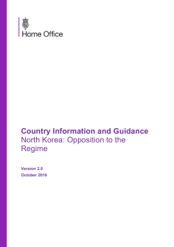North Korea: country policy and information notes