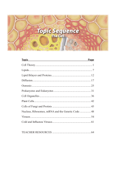 Dr Dave`s The Cell Sample Pages