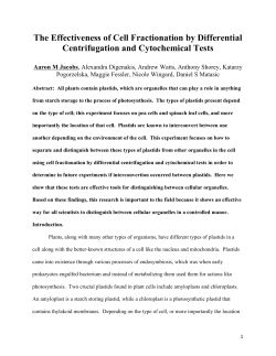 Cell Fractionation Lab Report