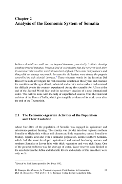 Analysis of the Economic System of Somalia