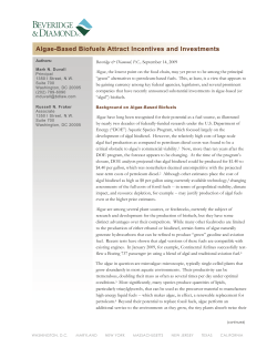 Algae-Based Biofuels Attract Incentives and Investments