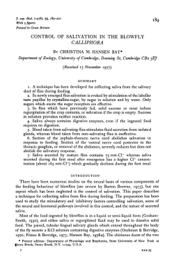 CONTROL OF SALIVATION IN THE BLOWFLY CALLIPHORA