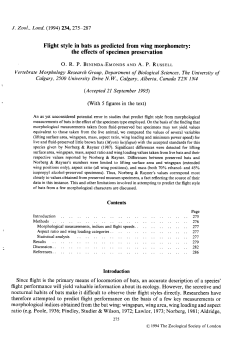 Flight style in bats as predicted from wing