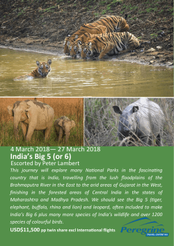 India`s Big 5 (or 6) - Summit Travel Perth