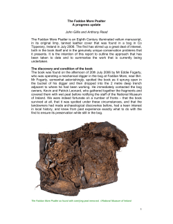 The Faddan More PsalterA progress update