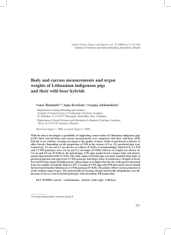 Body and carcass measurements and organ weights of