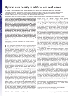 Optimal vein density in artificial and real leaves