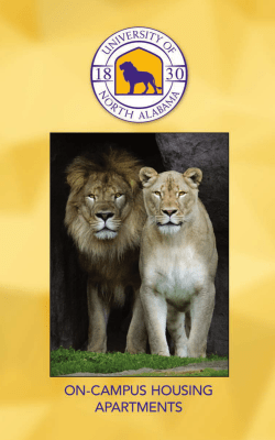 On Campus Housing Apartments Brochure