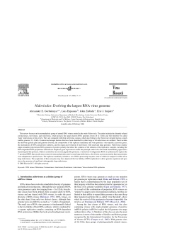 Nidovirales: Evolving the largest RNA virus genome