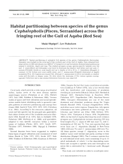 Habitat partitioning between species of the genus Cephalopholis