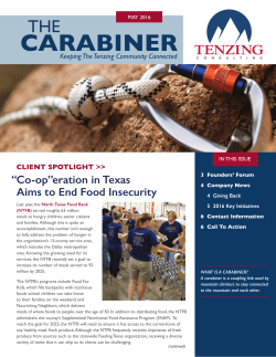 carabiner - Tenzing Consulting