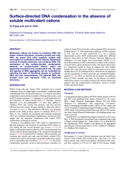 Surface-directed DNA condensation in the absence